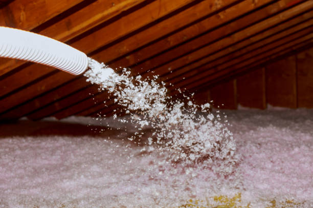 Best Specialized Insulation Services in Angleton, TX