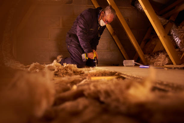 Best DIY Insulation Kits and Guidance in Angleton, TX